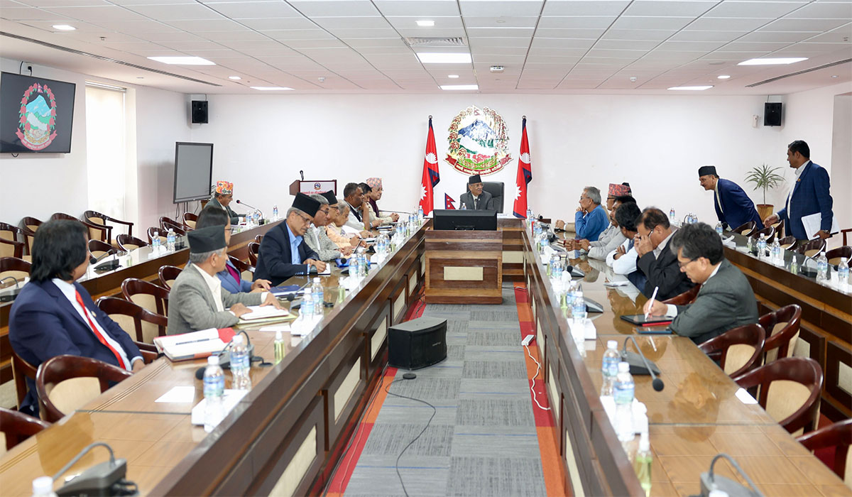 प्रधानमन्त्री र अर्थमन्त्रीलाई शीर्ष नेताहरूले कस्ता सुझाव दिए ?